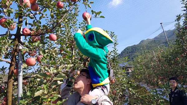 사과와 농촌에서 하루 즐기기 체험 사진